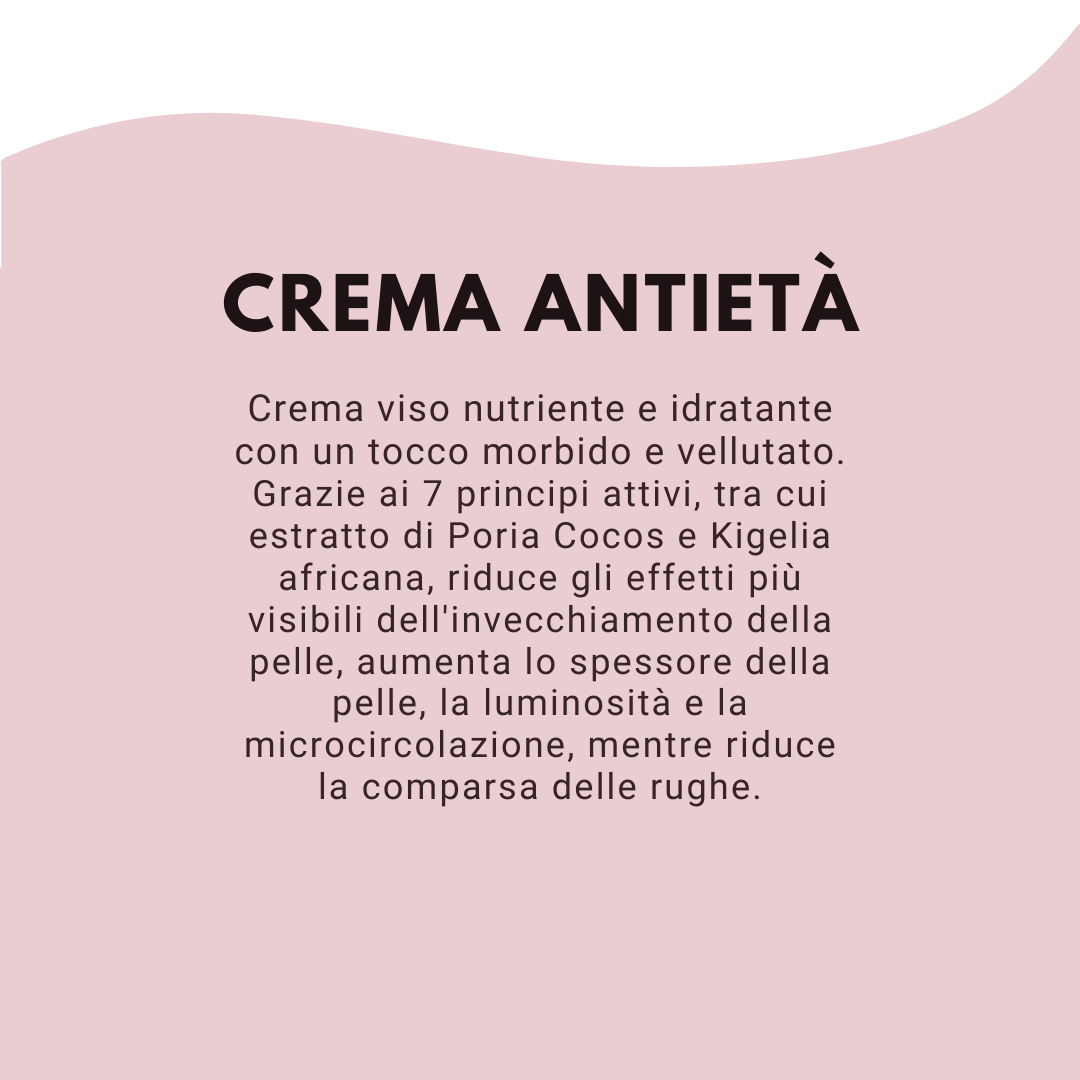 Kit antieta 3