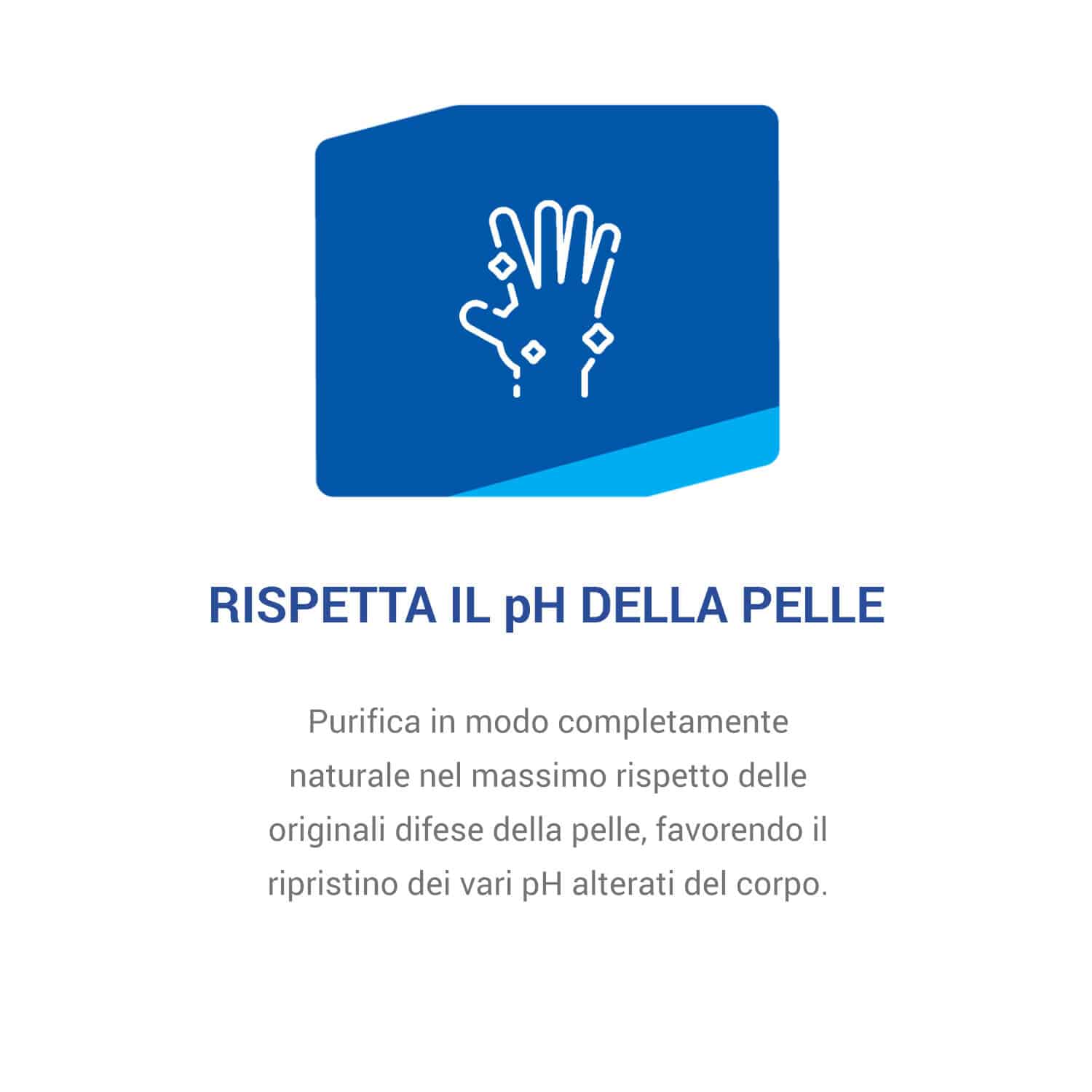 rosmarino_USP3_6